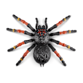 Miniatyrbild 2 av 10: Robo Alive Giant Tarantula Robotspindel multifärg