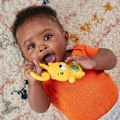 Miniatyrbild 8 av 8: Fisher Price Aktivitetsleksak Teething Time Otter multifärg