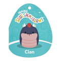 Miniatyrbild 5 av 5: Squishmallows 30cm Cian Basilisk multifärg