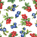 Miniatyrbilde 1 av 3: Servetter Blåbär/Lingon 33x33cm 20-pack Multicolor