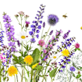 Miniatyrbillede 1 af 2: Servetter Sommaräng 33x33 cm 20-pack Multicolor