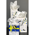 Miniatyrbillede 2 af 2: Gavepose Student Flaske 35x12 cm 2-pak Multicolor