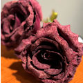 Miniatyrbild 2 av 2: Ros Bordeaux torkad 63 cm