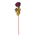 Miniatyrbild 1 av 2: Ros Bordeaux torkad 63 cm