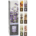 Miniatyrbilde 2 av 2: Doftpinnar Cherry Blossom 30 ml Pink
