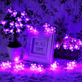 Miniatyrbild 4 av 4: Solcells drivna ljusslinga för uteplatsdekoration, vattentät, 7 meter, 50 LED-lampor, lila blommor