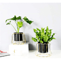 Miniatyrbild 2 av 5: Metallväxtstativ inomhus utomhus blomkruka planteringsdisplay dekor (böjd ram svart fat)