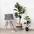 Miniatyrbild 3 av 5: Robust juteväxtkorg, modern vävd korg för 10\" blomkruka inomhusgolvplanterare, 11”
