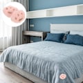Miniatyrbild 5 av 5: 8 set täcke klämma täcke täcke fästelement täcke täcke klämmor täcke grippers täcke täcke sna