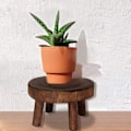 Miniatyrbild 3 av 5: Blomkruka Pall, Rund Trä Pall, Inomhus Växthållare, Massiv Blomkruka Hållare