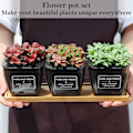 Miniatyrbild 5 av 5: 2025 Lämplig 3-delad Örtkruka, Inomhus Örtkruka, Självvattnande Blomkrukor, Andningsbar Blomkruka, Blomkruka Set, Örtkruka