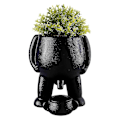 Miniatyrbillede 1 af 5: Piss Pot Plante, Grønt Plante, Tissemand Sjov Vase, Sjov Sukkulent Potte Med Dræn Til Indendørs Planter, 50% Tilbud -SZCN white