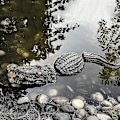 Miniatyrbild 5 av 5: Flytande alligatorhuvud Decoy Alligator Utomhusstatyer Flytande krokodil för gåskontrollfalsk Gator Avskräckande Ducksswamp Gräsmatta Krokodil Damm D