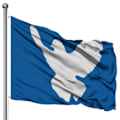 Miniatyrbild 1 av 2: Fredsflagga 150x90cm, Hållbar Polyester Fredsflagga Levande Färg Fredsduva Flagga Fredsflagga Dekoration Banner För Patio Gräsmatta Heminredning c