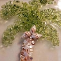 Miniatyrbild 5 av 5: Havsglaskonstset, Havsglaskonstset för Vuxna, Harts Havsglaskonstset, DIY Harts Strandkonstset, Havsglaskonst Foto Ram Present e
