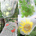 Miniatyrbillede 1 af 2: 100 stk. Beskyttelsespose til druer 23x17cm Organzapose med snøre til frugt white
