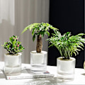 Miniatyrbillede 4 af 5: Automatisk Vandabsorberende Blomsterpotte God Dræning Genanvendelig Plantepotte Havetilbehør