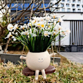 Miniatyrbild 1 av 5: Söt gunga blomkruka Växt hängande korg vägg hängande blomkruka dekoration Hängande harts planteringsmaskiner för inomhus- och utomhusväxter ZD OP