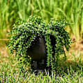 Miniatyrbillede 4 af 5: Sjov vase, der tisser, nyhedspotte til at tisse, potte til at tisse, sukkulente potter med dræn sort/hvid -GSL white without plant
