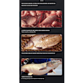 Miniatyrbilde 3 av 4: Frisk, våt granulert fiskeåte-attraktant med høy proteininnhold og fiskete lukt - Åte for villfiske, Pit Lazy Man fiske-lokkedyr, pellets