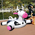 Miniatyrbillede 2 af 5: Oppustelig ko-pool float til børn og voksne - oppustelig flåde - vandflydende bådtur - svømmering legetøj til sommer
