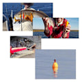 Miniatyrbild 4 av 5: 2 st/set Fiskebobber Kork Flytande Gul Boj Fiskeutrustning Tillbehör
