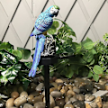 Pikkukuva 4 / 5: Pöllöpuutarhavalo Led Aurinkovoimalla Ulkona Koriste Nurmikko Vedenpitävä Patsaslamppu -GSL red parrot