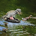 Miniatyrbild 4 av 5: Flytande alligatorhuvud Decoy Alligator Utomhusstatyer Flytande krokodil för gåskontrollfalsk Gator Avskräckande Ducksswamp Gräsmatta Krokodil Damm D