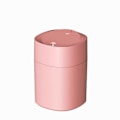 Miniatyrbillede 1 af 5: Aromaterapi Luftfugter Bil Mini Desktop USB Husholdning Virksomhed Sød Kæledyr Lydløs Gave Luftfugter