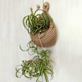 Miniatyrbilde 5 av 5: Veggmontert frukt- og grønnsakskurv, håndvevd jute hengende oppbevaring, dråpeformet design