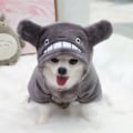 Miniatyrbillede 3 af 5: Hvalp Hvalp Grå, S Hund Hunde Kæledyrstøj Sweater Sweater Sweater Varm Sweater Efterårsjakke Efterårsjakke Hundemode Tøj Overalls