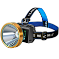 Miniatyrbild 1 av 5: LED Starkt Ljus Induktionsladdningshuvud för Utomhusbruk