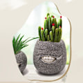 Miniatyrbild 3 av 8: Blomkruka