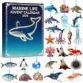 2025 Julekalender Dekoration Acrylic Flat MarineBOX
