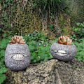 Miniatyrbillede 8 af 8: Blomsterpotte Plantepotte