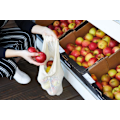 Pikkukuva 5 / 5: Natural Elements Drawstring Produce Bags Set 3pcs.