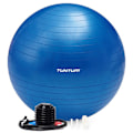 Miniatyrbild 1 av 10: Tunturi Gym Ball AntiBurst 75cm Silver