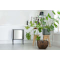 Pikkukuva 7 / 10: Brabantia BO Touch Bin 1 x 36L. White