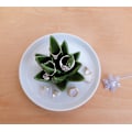 Miniatyrbillede 3 af 5: Aloe Ringholder, Kaktus Ringfad, Smykkeholder Nipsgenstandsbakke til Ringe Øreringe Halskædearrangør