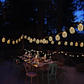 Miniatyrbilde 3 av 4: 15ft 20 Led Ananas Lyslenke, Eventyrlys Batteridrevet For Uteplass Hjem