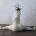 Miniatyrbilde 2 av 5: Morsom stor rumpe spøkelsesplanter, spøk gave dekor planter luftplante display stativ, stor rumpe spøkelsespla