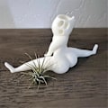 Miniatyrbilde 5 av 5: Morsom stor rumpe spøkelsesplanter, spøk gave dekor planter luftplante display stativ, stor rumpe spøkelsespla