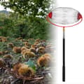 Miniatyrbillede 11 af 11: Nøddeopsamlerulle, justerbart 150 cm teleskophåndtag, rustfrit stål, til have, valnødder, kastanjer og hasselnødder, sølv