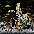 Miniatyrbillede 4 af 4: Akvarium Simuleret Træhus Dekorationer, Harpiks Materiale Dekorationer, Miljøvenlige
