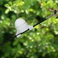Miniatyrbillede 2 af 3: Elektroniske LED-fiskeri-lys bidalarmer advarselsindikator tilbehør til natfiskeri