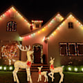 Miniatyrbilde 2 av 2: /HA/Julebelyst hjort LED-belyst reinsdyr for juledekorasjon Lysende reinsdyrpryd utendørsdekorasjon jul (S)