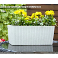 Miniatyrbillede 4 af 5: 2 stk. hvide selvvandende plantepotter, kompakt rektangulær vinduesurtepotte til blomster, sukkulenter