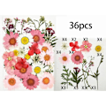 Miniatyrbilde 5 av 5: 72 stk ekte tørkede pressede blomsterblader for DIY stearinlys harpiks smykker spiker anheng håndverk Ma