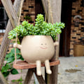Miniatyrbild 2 av 5: Blomkruka Väggplanter Gunga Ansikte Planter Kruka Harts Plast Leende Ansikte Planter Vägg Hängande Huvud Planter