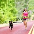 Miniatyrbilde 4 av 5: Håndfri hundekobbel med midjebelte for kjæledyrgåing løping jogging justerbar kobbel bryststropp trekk reflekterende tau